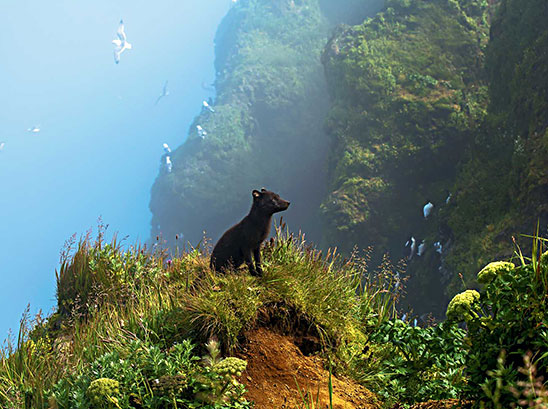 Best of the West: Western images dominate NWF photo contest, converting a c...